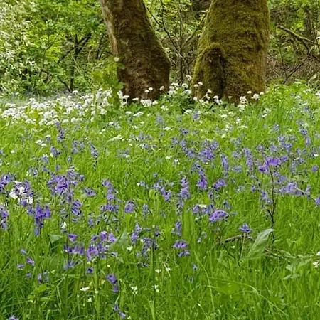 Lower Turnerford בית נופש